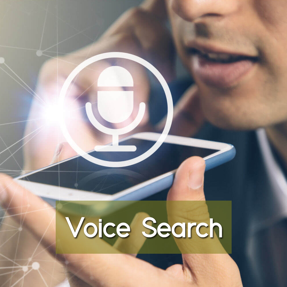 Voice Search era