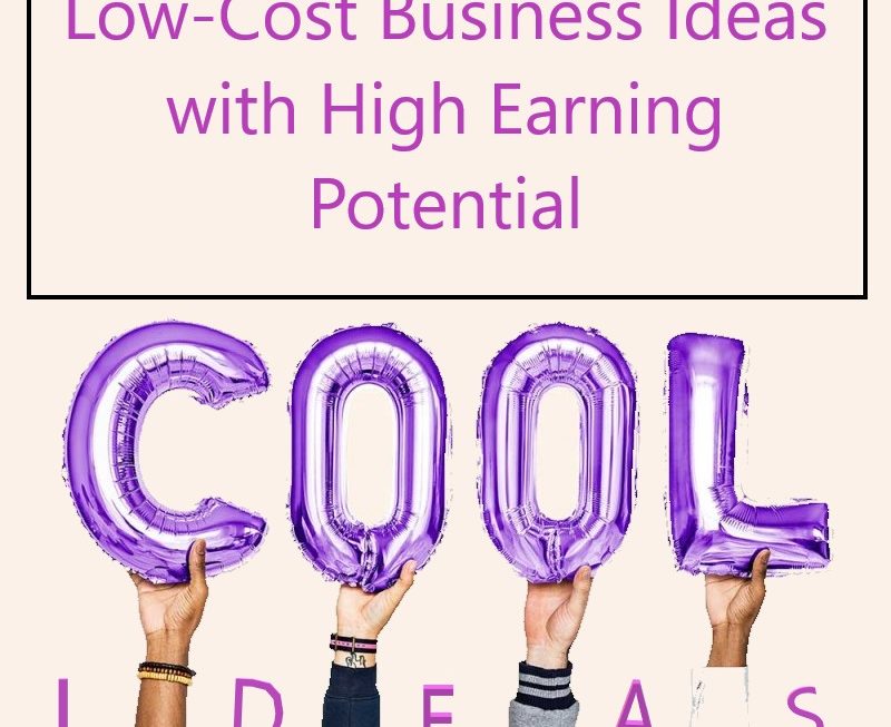 Low-Cost Business Ideas with High Earning Potential