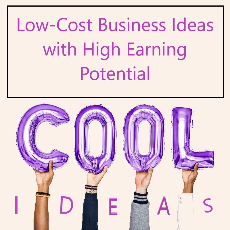 Low-Cost Business Ideas with High Profit Potential